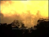Time lapse : Smoke clouds rising from a forest fire