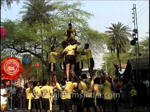 Govindas formed human pyramid during 'Dahi Handi' festival in mumbai