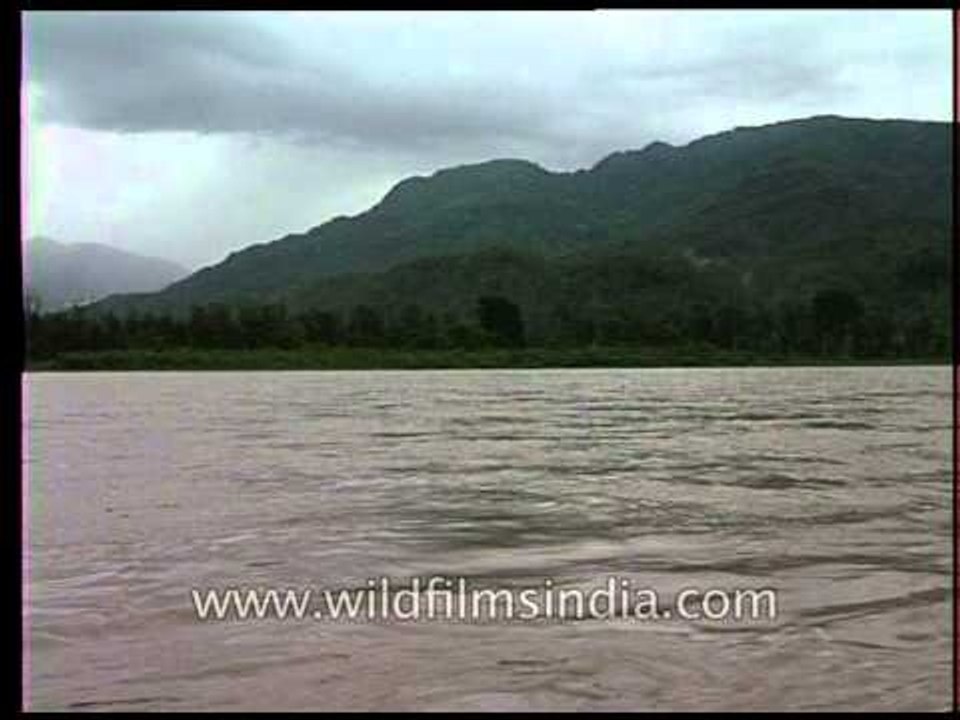 Holy river Ganga