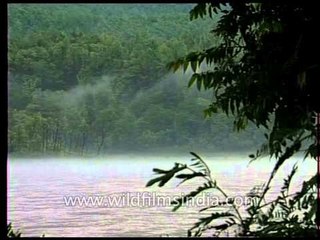 Ganga - Source of spiritual purification for devout Hindus