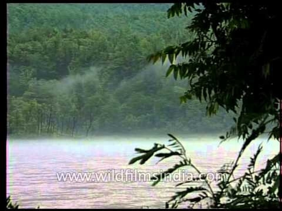 Ganga - Source of spiritual purification for devout Hindus