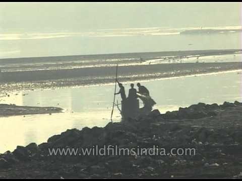 Polluted Yamuna river threatening the existence of Taj Mahal in Agra