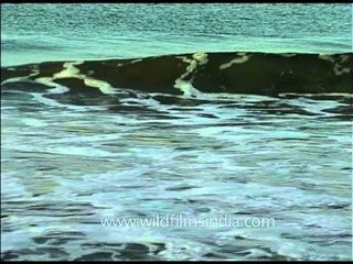 Sea waves touching the shoreline of the sea