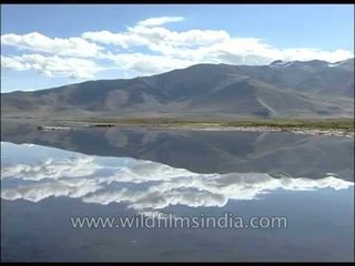 Ladakh: barren + stark = extreme beauty!