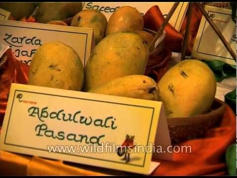Numerous varieties of mangoes for display at Dilli Haat