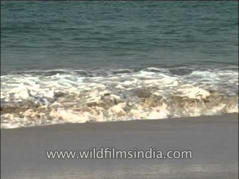 Sea waves hitting the shores