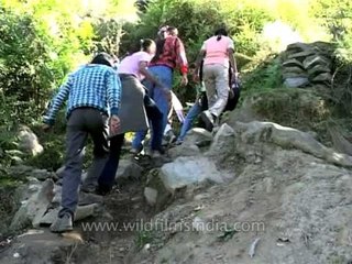 Trekking in the Himalaya