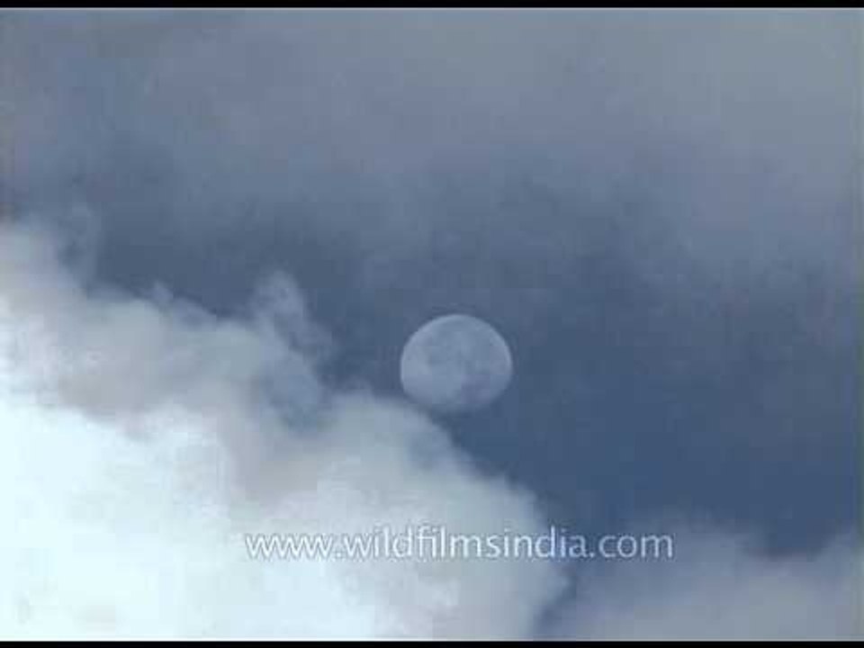 Clouds and the moon