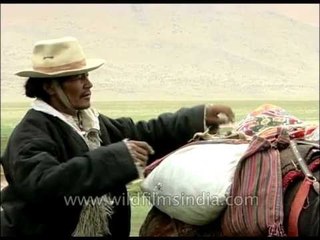 Ladakhi horseman, children and old woman: faces of Ladakh