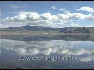 Cold, rugged, harsh yet beautiful: Ladakh!