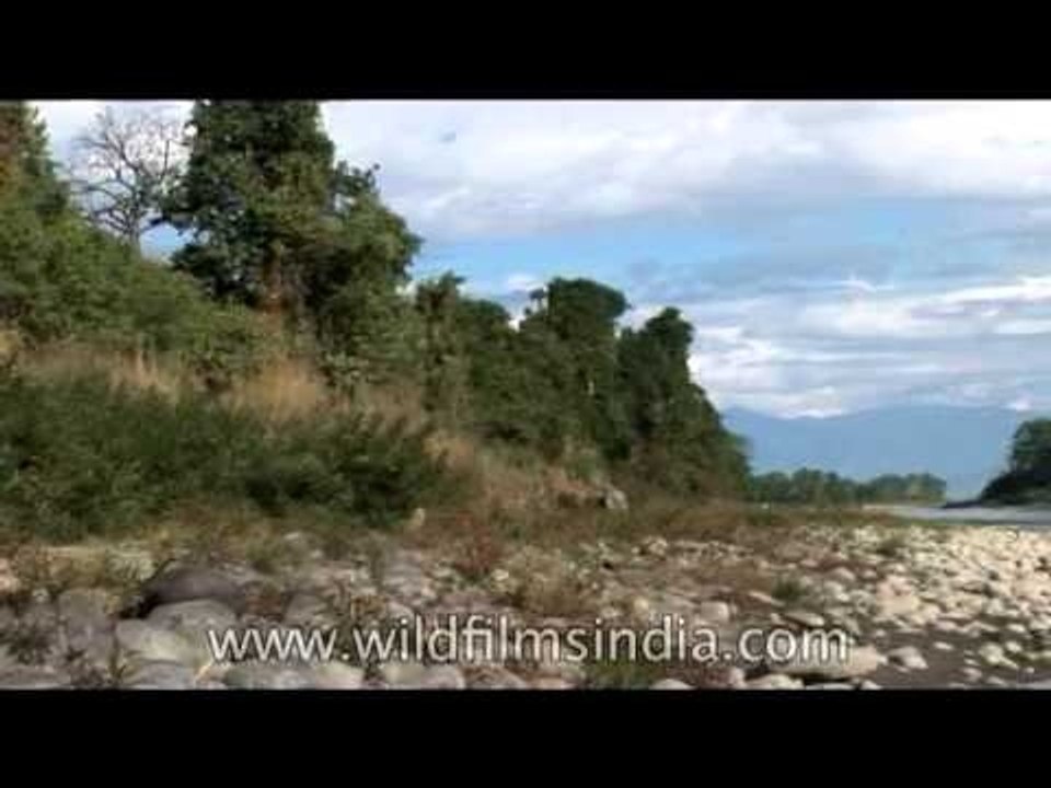 Siang River in Arunachal Pradesh