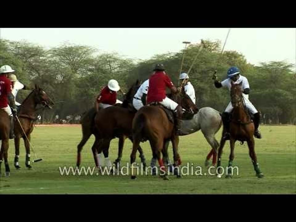 Disputing the ball in a polo match