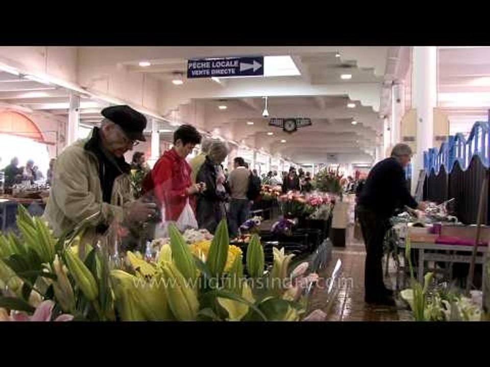 Flowers at Marche Forville