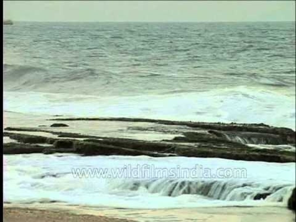 Tidal waves advancing toward the sea shore