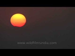 Download Video: Red sun drowning in National Chambal Sanctuary, Madhya Pradesh