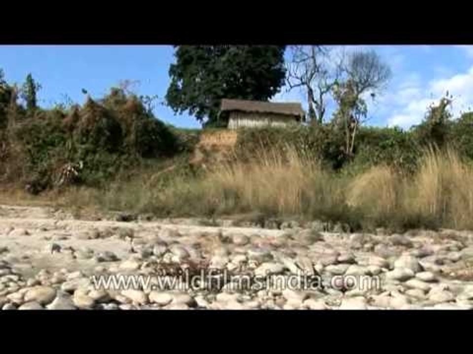 Siyom river running along Mechuka Valley, Arunachal Pradesh