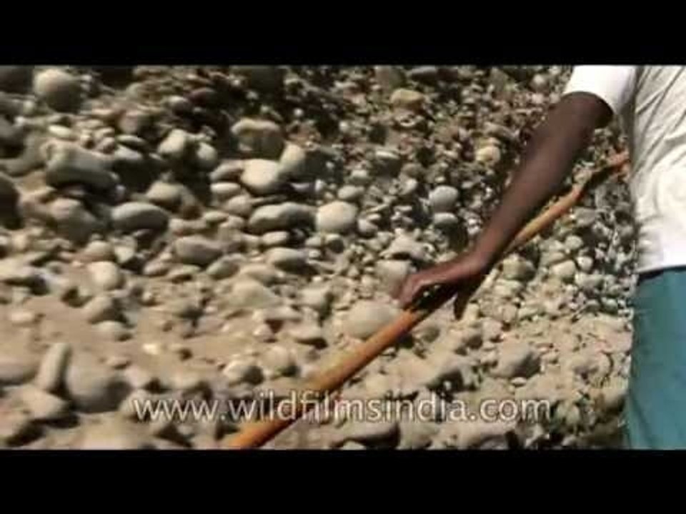 River-bank erosion leaves a geographical imprint along Siyom River