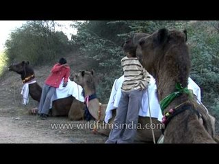 Camel Safari in National Chambal Sanctuary