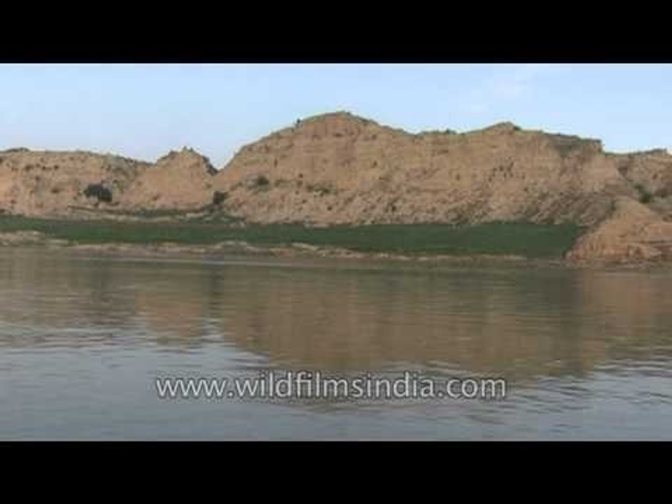 Picturesque banks of National Chambal Sanctuary