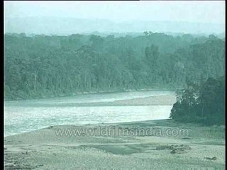 Kameng River as seen in Arunachal's Bhalukpong circle