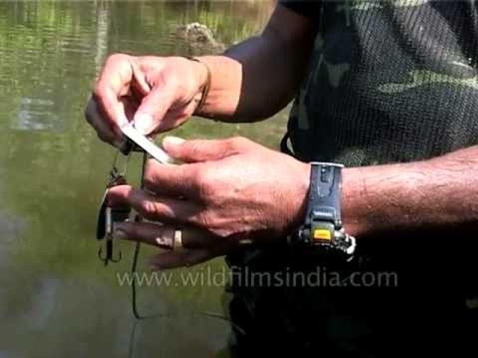 Fishing 101: Mahseer fishing in the Ramganga River in India