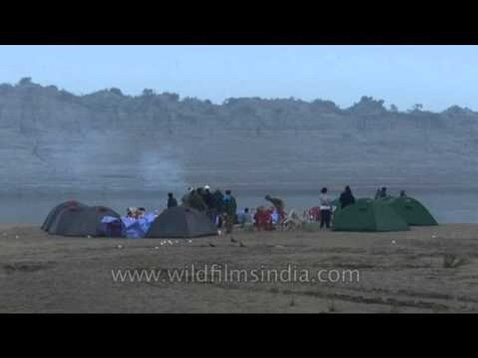 Camping at National Chambal Gharial Wildlife Sanctuary