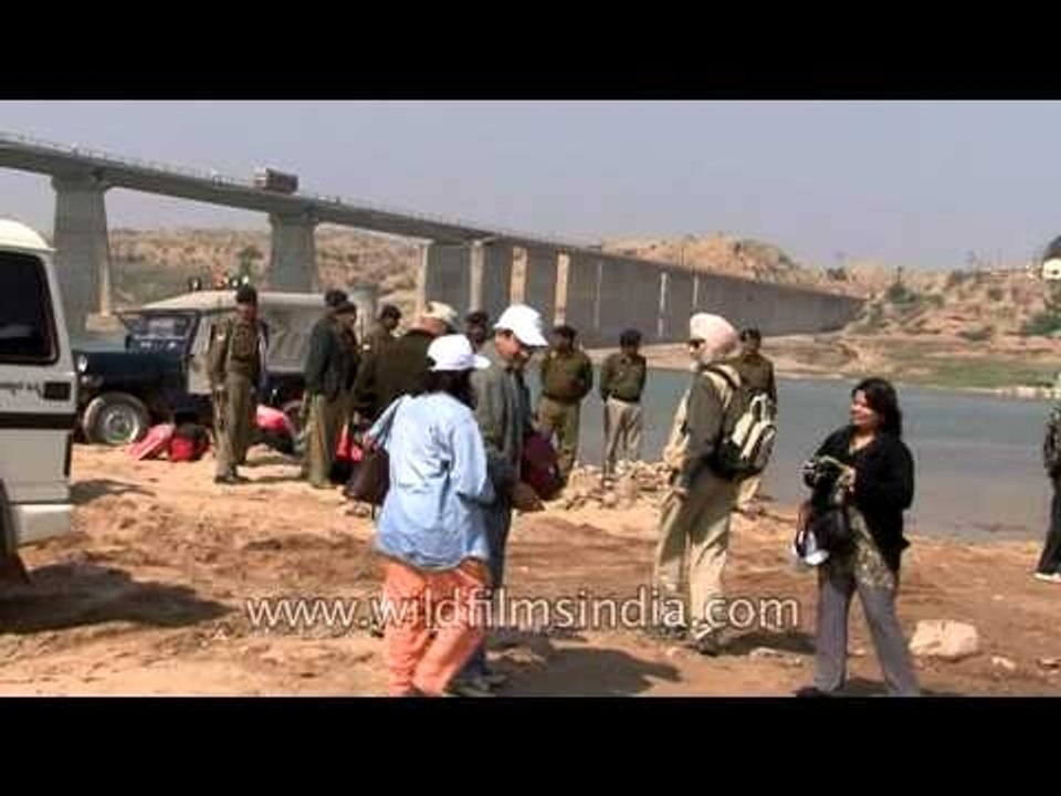 Wildlife enthusiast visiting the National Chambal Gharial Wildlife Sanctuary