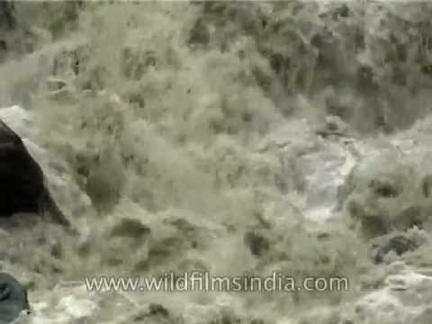 Rushing water of the Ganges, at Gangotri