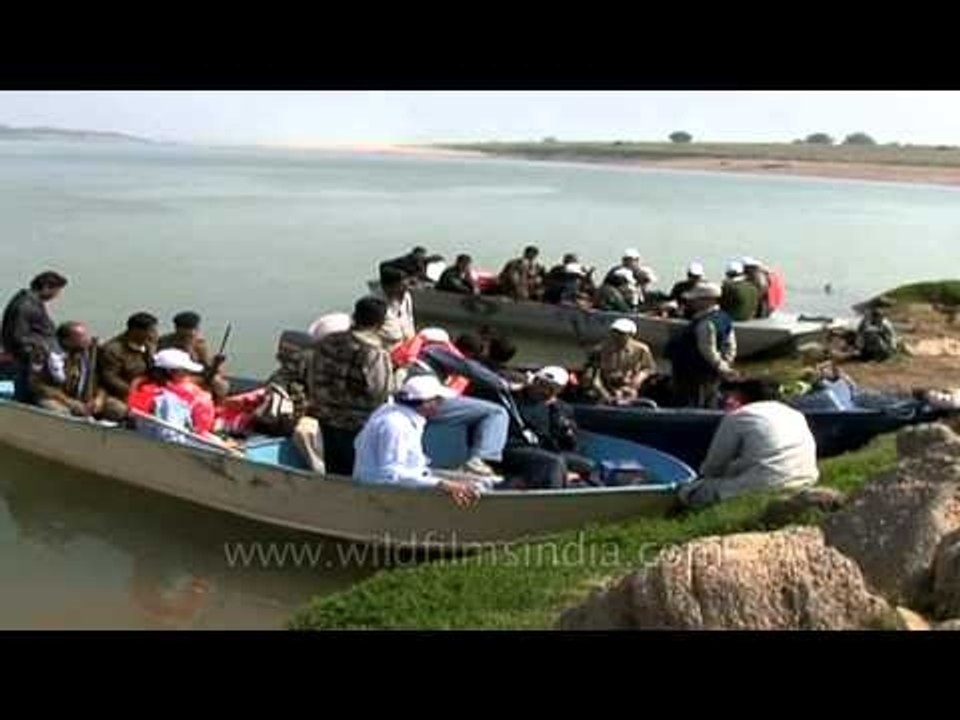 Boat excursion on Chambal river in National Chambal Gharial Wildlife Sanctuary