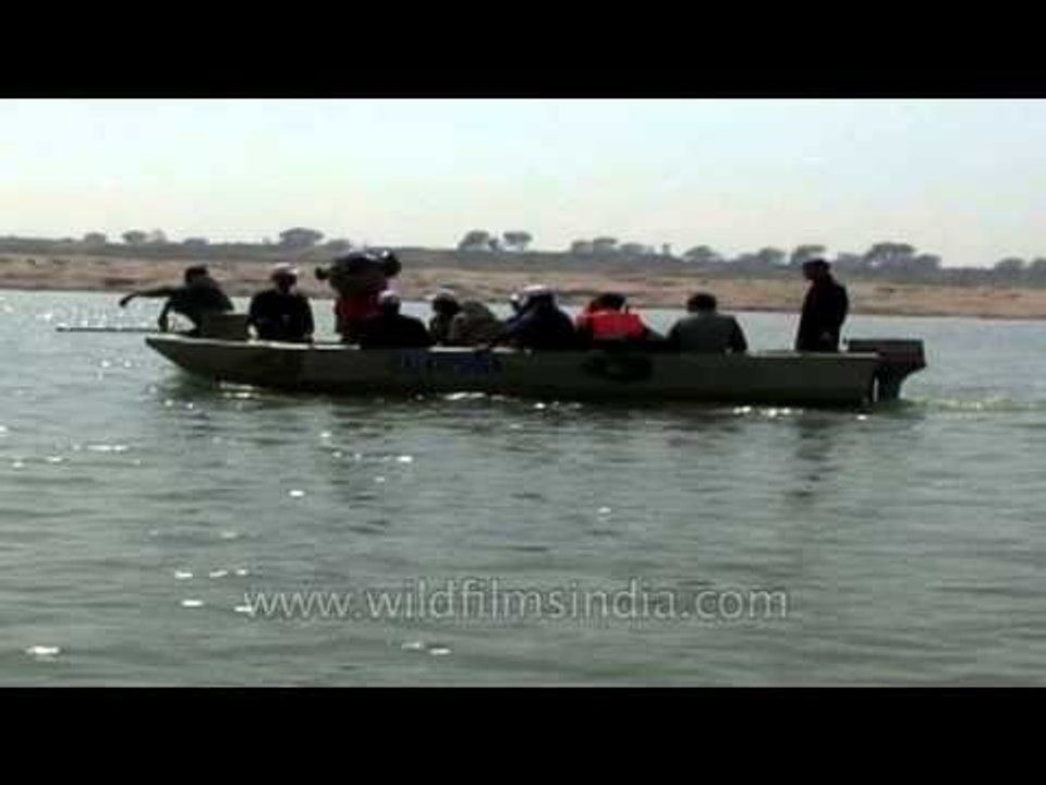Avid wildlife & nature photographers taking boat excursion in National Chambal Sanctuary