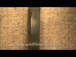 Weapons of British era at the Maharaja Jiwaji Rao Scindia Museum