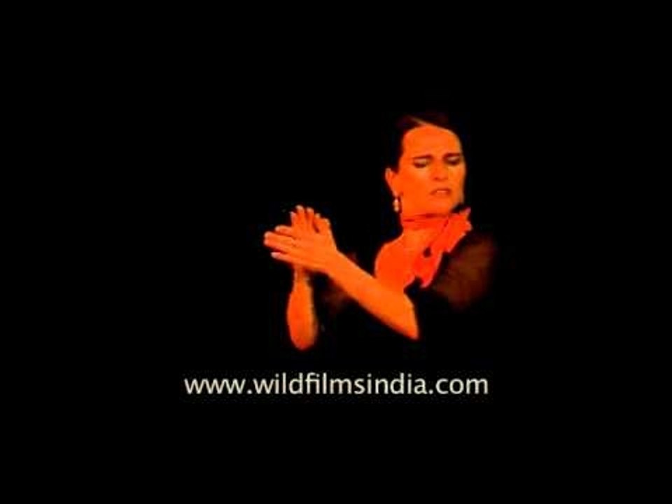 Solo El baile flamenco performance