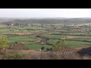Aerial view of vast green fields of Gwalior