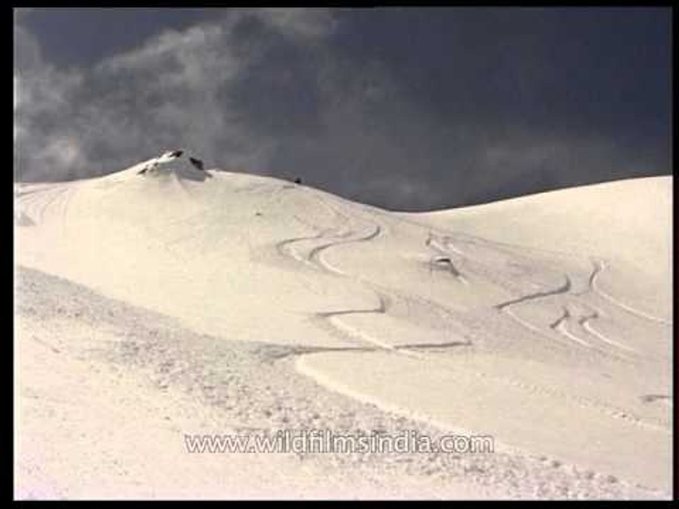 The Lure of extreme sports: Snowboarding in the Himalayas