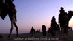 Camel safari in Jaisalmer amid sand dunes in Thar desert