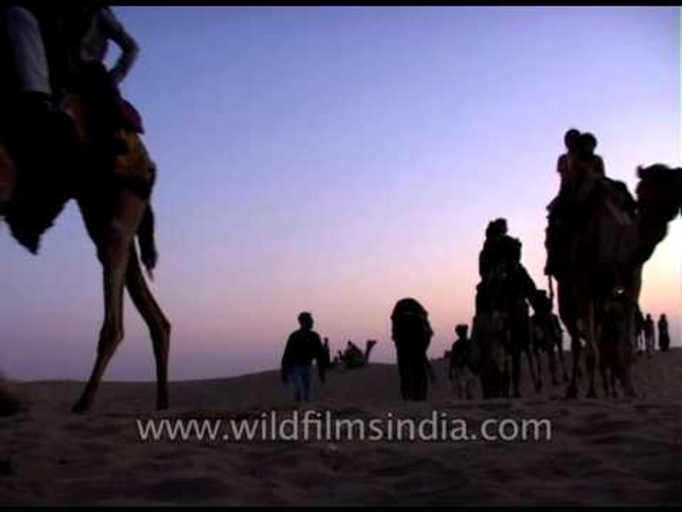 Camel safari in Jaisalmer amid sand dunes in Thar desert