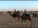 Tour-de-Thar Desert on Camel back, Rajasthan