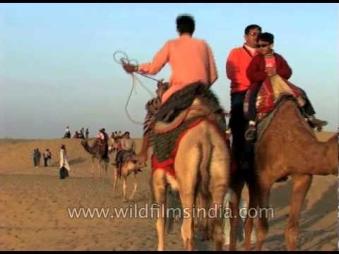 Camel ride in the Thar desert near Jaisalmer, Rajasthan