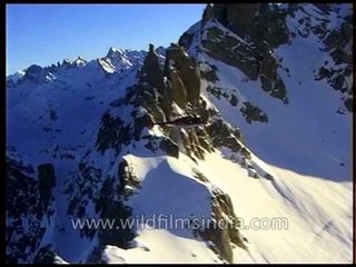Flying over the snowy and rocky mountains of Himalaya
