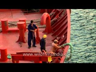 Cargo ships parked in Paradeep Port