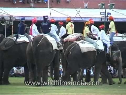 Elephant polo match taking place in Jaipur Elephant Festival