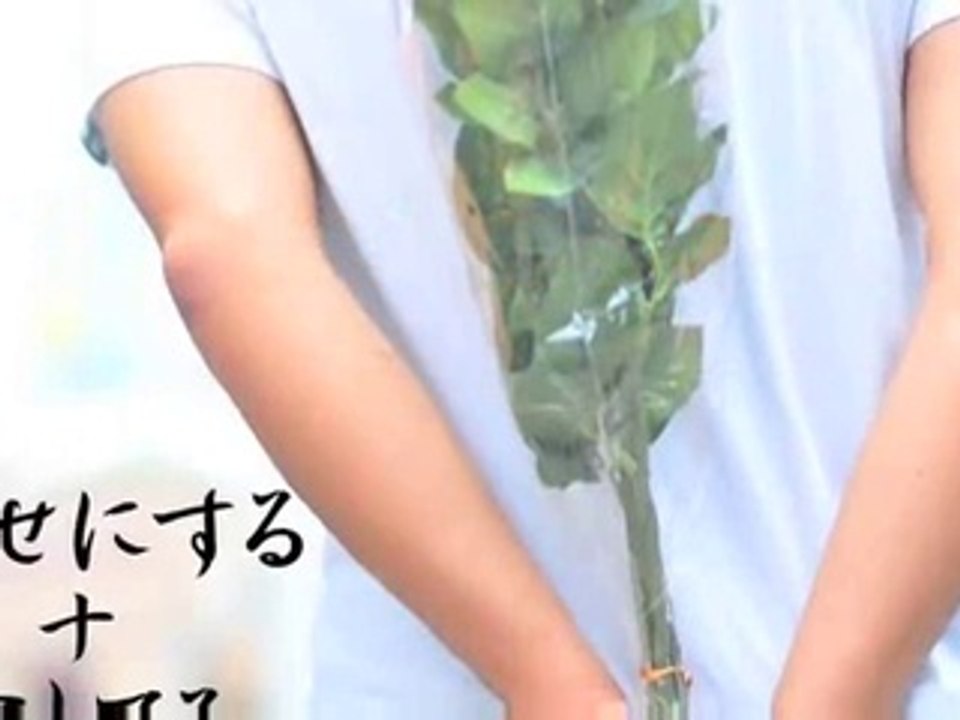 幸せにする+愛してる