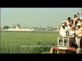 Fun and exciting tractor riding in Uttar Pradesh