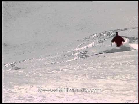 Snow mountain sport: Heli-skiing
