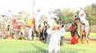 Beautifully decorated elephants at the Jaipur Elephant Festival