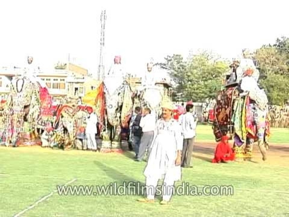 Beautifully decorated elephants at the Jaipur Elephant Festival