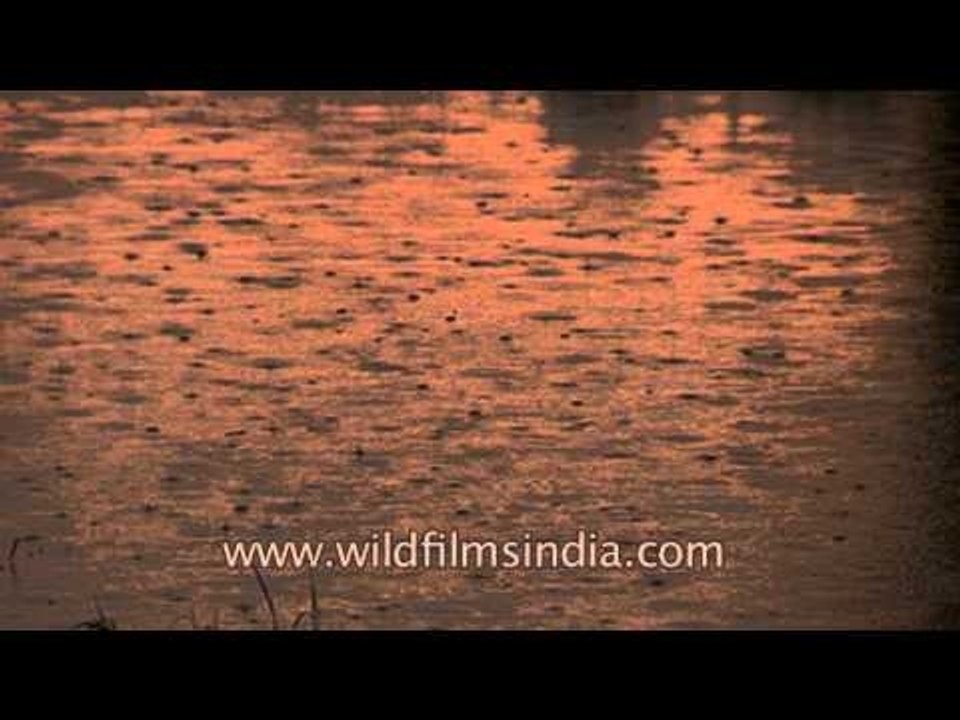 Orange sky before the monsoon drizzle in Uttar Pradesh