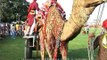 Camel parades gracefully during the procession at Jaipur Elephant Festival