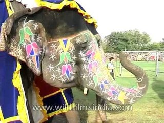 Elephant's face painting is make-up to them! Beauty pageant contest at Jaipur Elephant Festival