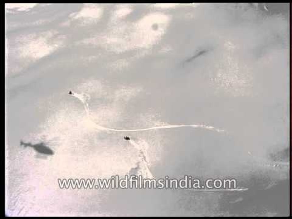 Helicopter ride over the adventure filled Himalayas